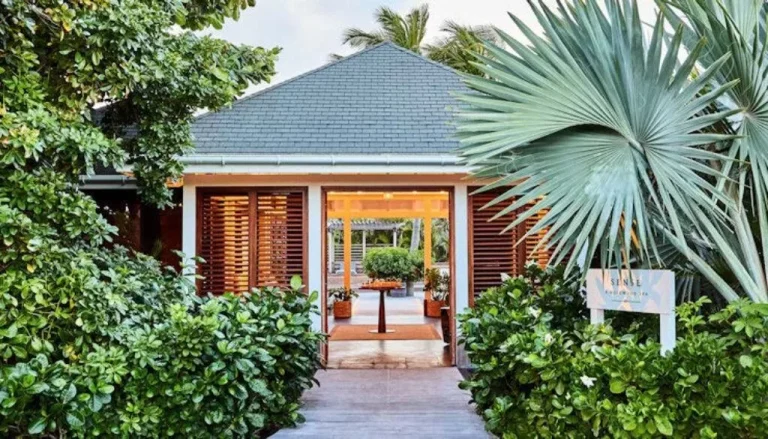 A picturesque entrance to a tropical building is framed by lush greenery. The pathway is flanked by dense bushes and a tall palm tree on the right. The building features open wooden shutters, and the view extends to an inviting, well-lit interior space.